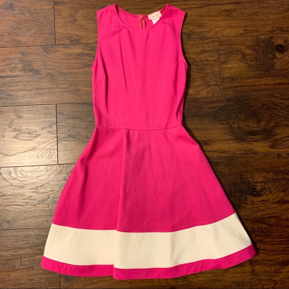 NWT Fit & Flare Pink Dress